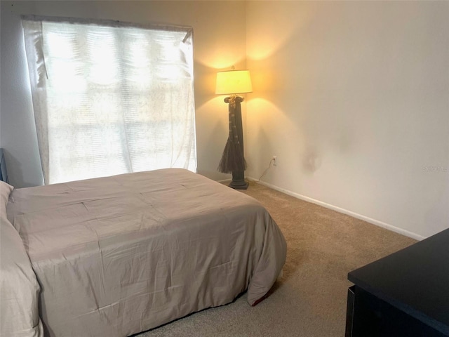 bedroom with carpet floors