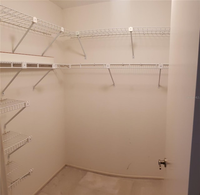 view of spacious closet