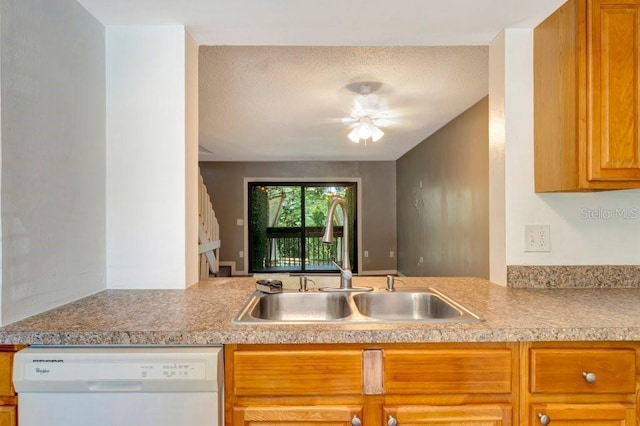 kitchen with dishwasher and sink