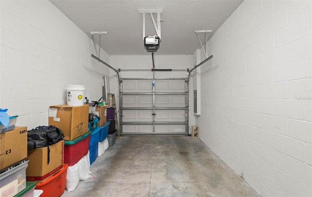 7203 Sweet Alyssum Ct, Tampa, FL 33619 - garage with a garage door opener and concrete block wall