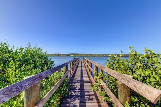 dock area with a water view