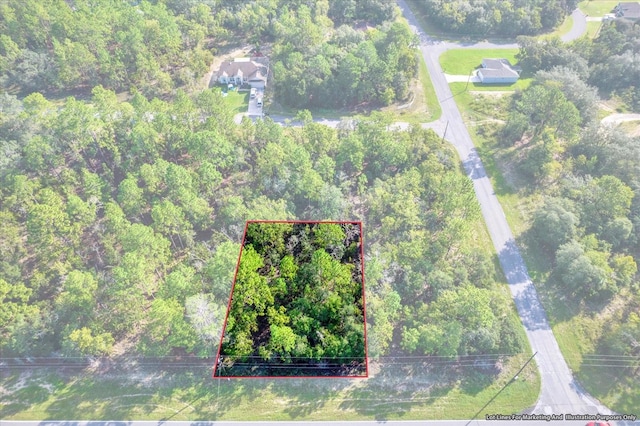 895 W Hampshire Blvd, Citrus Springs FL, 34434 land for sale