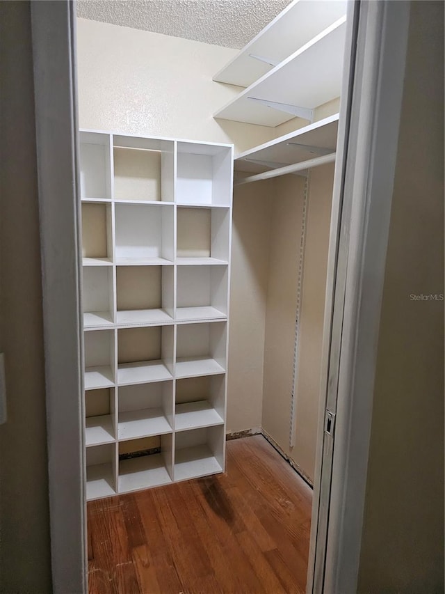 walk in closet featuring dark hardwood / wood-style floors