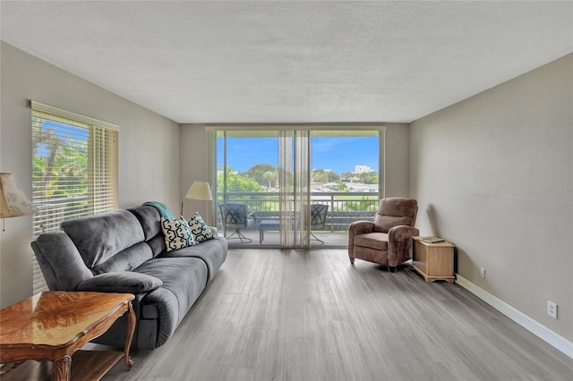 living room featuring a textured ceiling, light hardwood / wood-style flooring, and plenty of natural light