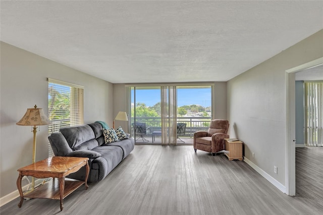 living room with a textured ceiling and light hardwood / wood-style floors