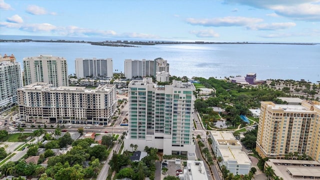 aerial view with a water view