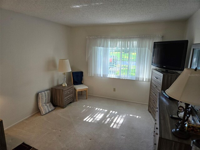 sitting room with light carpet and a textured ceiling