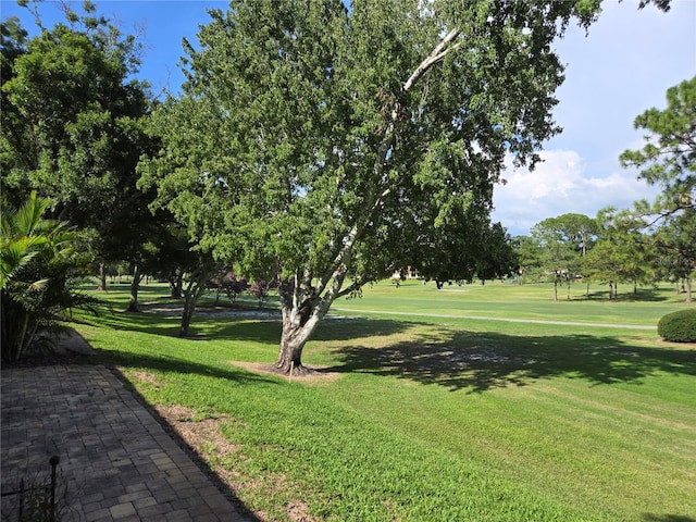 view of home's community featuring a yard