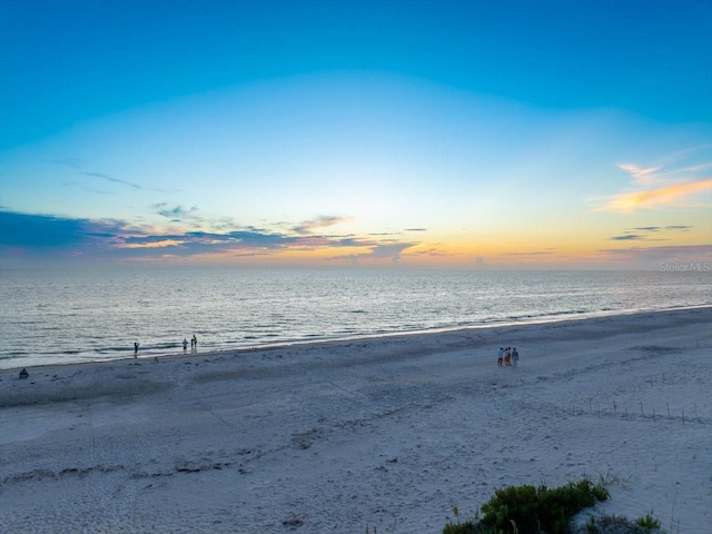 property view of water with a beach view