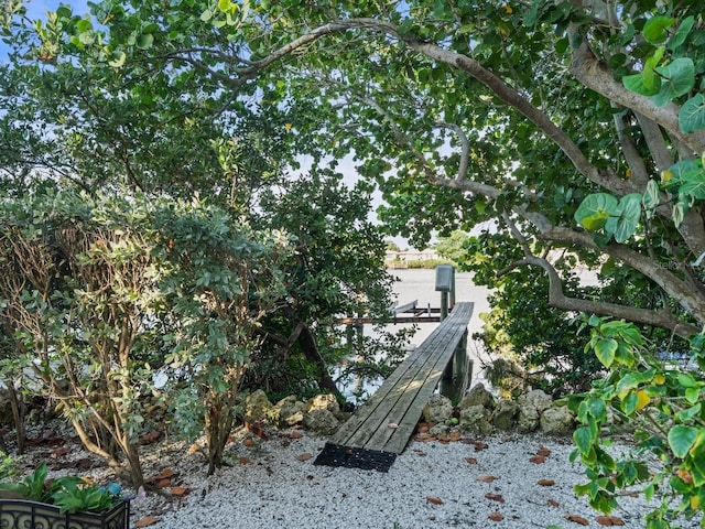 view of yard with a boat dock