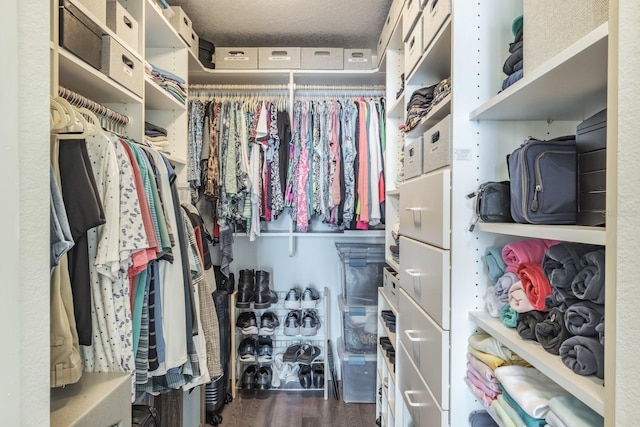 walk in closet featuring dark hardwood / wood-style floors