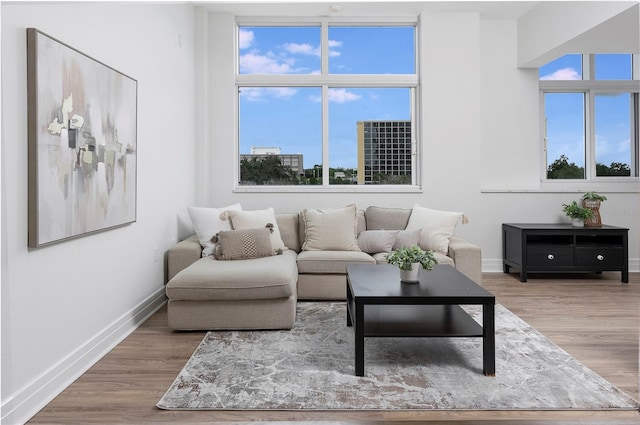 living room with plenty of natural light and light hardwood / wood-style flooring