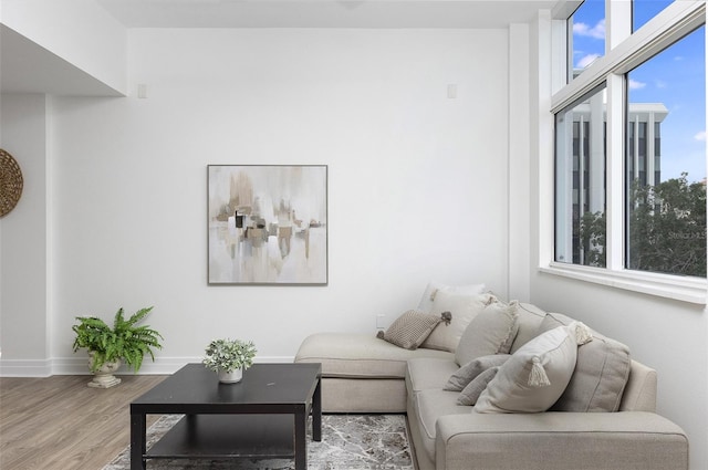 living room with hardwood / wood-style floors