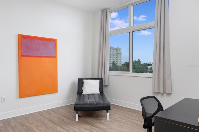 home office featuring plenty of natural light and light hardwood / wood-style flooring