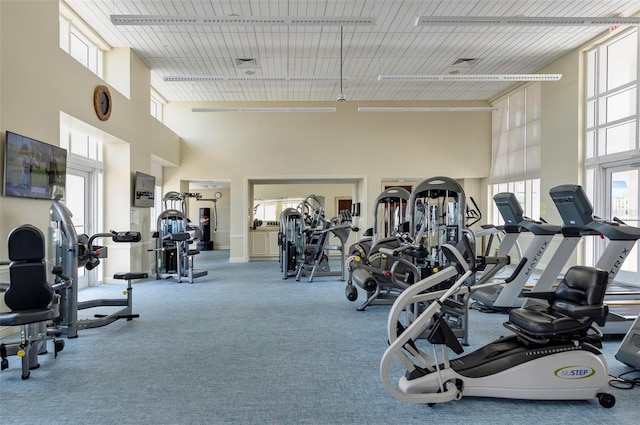 gym featuring carpet and a towering ceiling