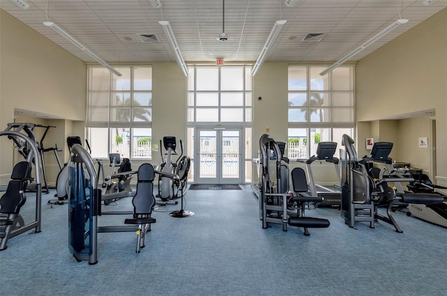 workout area featuring a wall of windows, a towering ceiling, french doors, and carpet