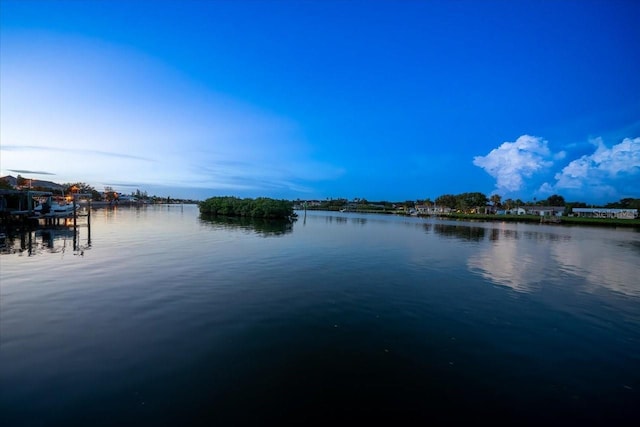 water view with a dock