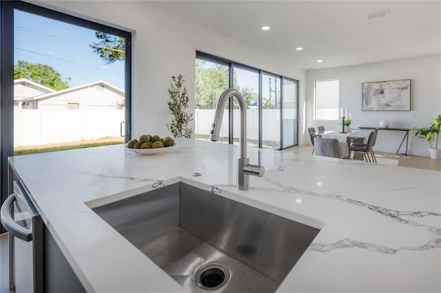 room details with sink, stainless steel dishwasher, and light stone counters