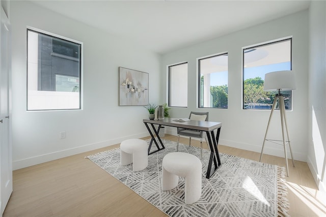 office with light hardwood / wood-style flooring