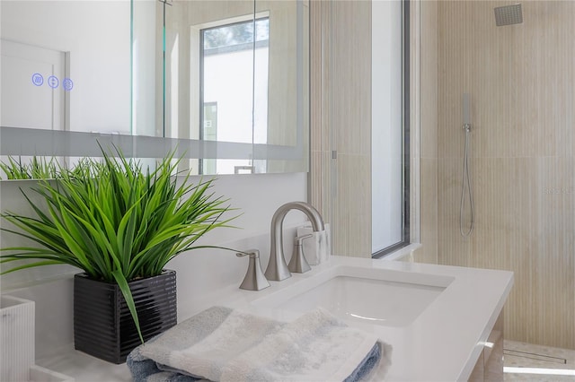 bathroom with vanity and walk in shower