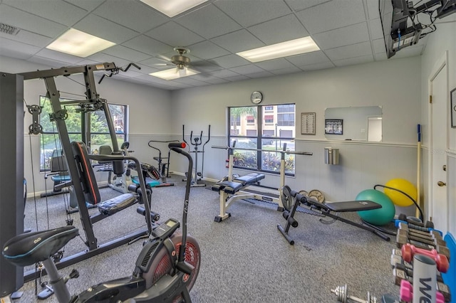 gym with ceiling fan, a drop ceiling, and carpet floors