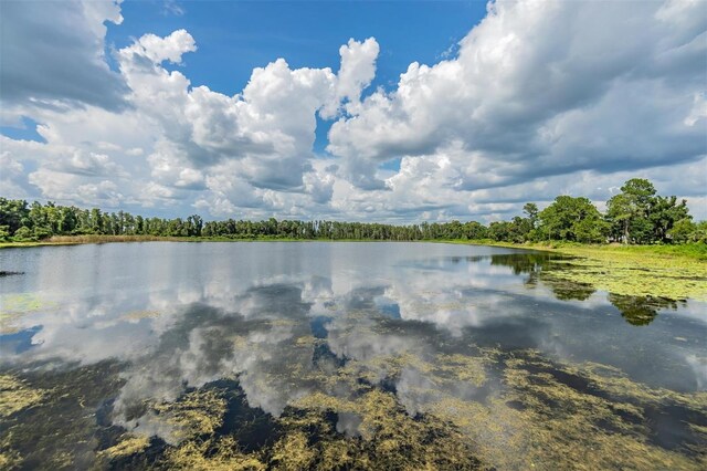 water view with a wooded view