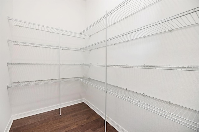 spacious closet featuring dark hardwood / wood-style flooring