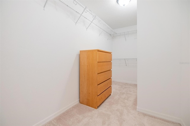 spacious closet with light carpet