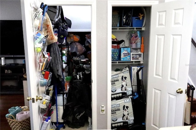 view of closet