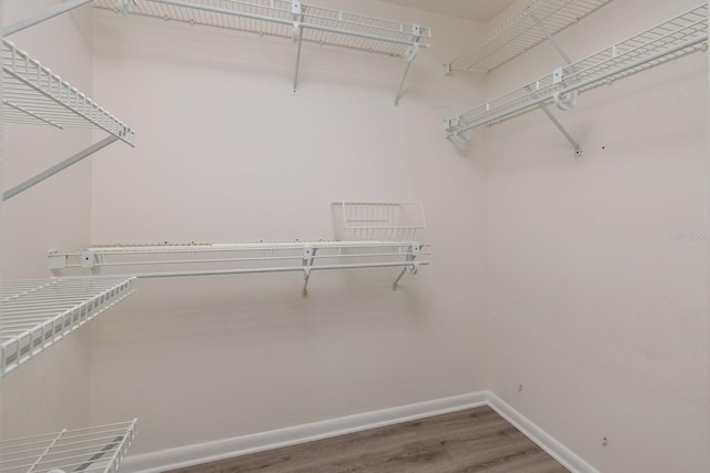 spacious closet with wood finished floors