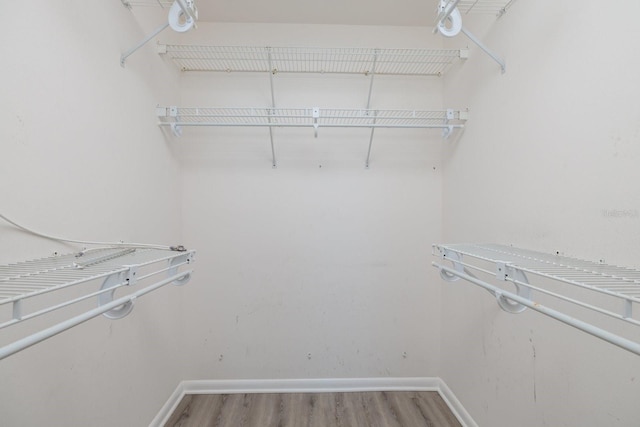 spacious closet featuring wood finished floors