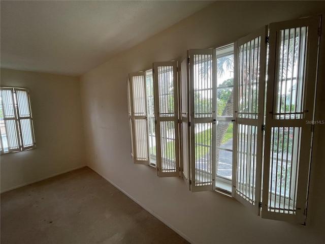 carpeted empty room featuring a healthy amount of sunlight