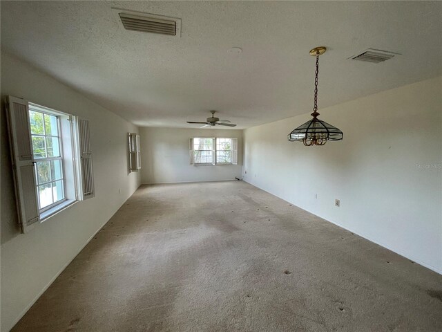 spare room featuring a healthy amount of sunlight, carpet, and a textured ceiling