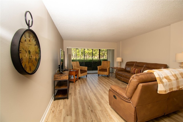 living room featuring lofted ceiling, light hardwood / wood-style flooring, and a textured ceiling