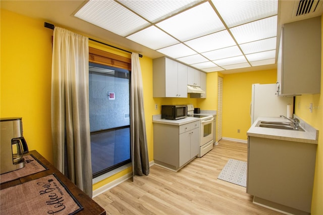 kitchen with sink, light hardwood / wood-style flooring, white appliances, and white cabinets