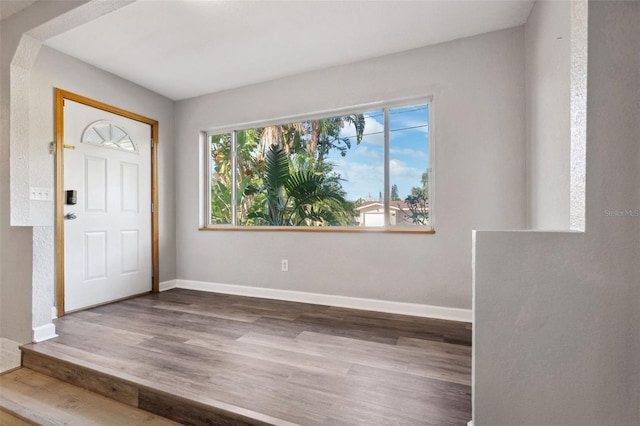 foyer featuring hardwood / wood-style flooring