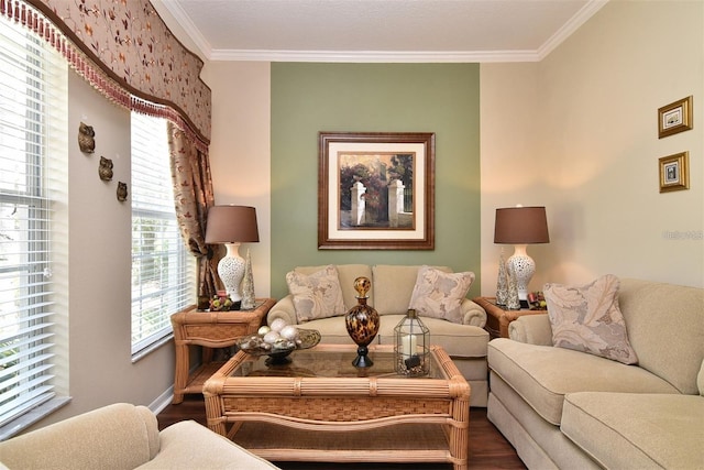 living room with wood-type flooring and ornamental molding