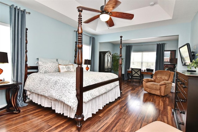 bedroom featuring a raised ceiling and dark wood-type flooring