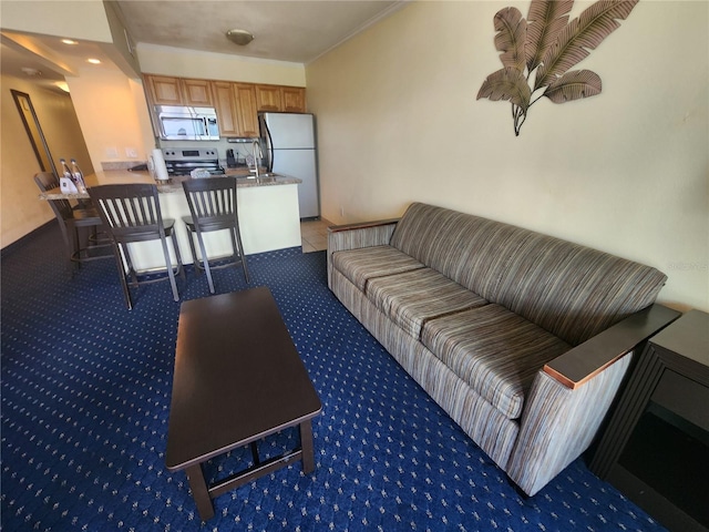 carpeted living room with sink