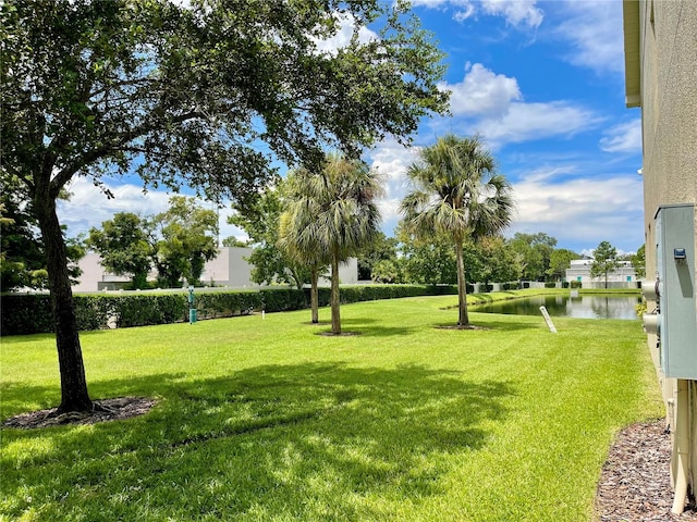 view of yard featuring a water view