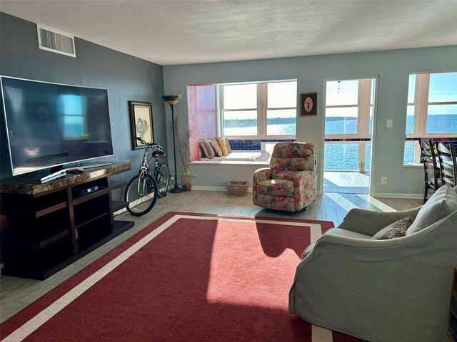 carpeted living room featuring a textured ceiling and a healthy amount of sunlight