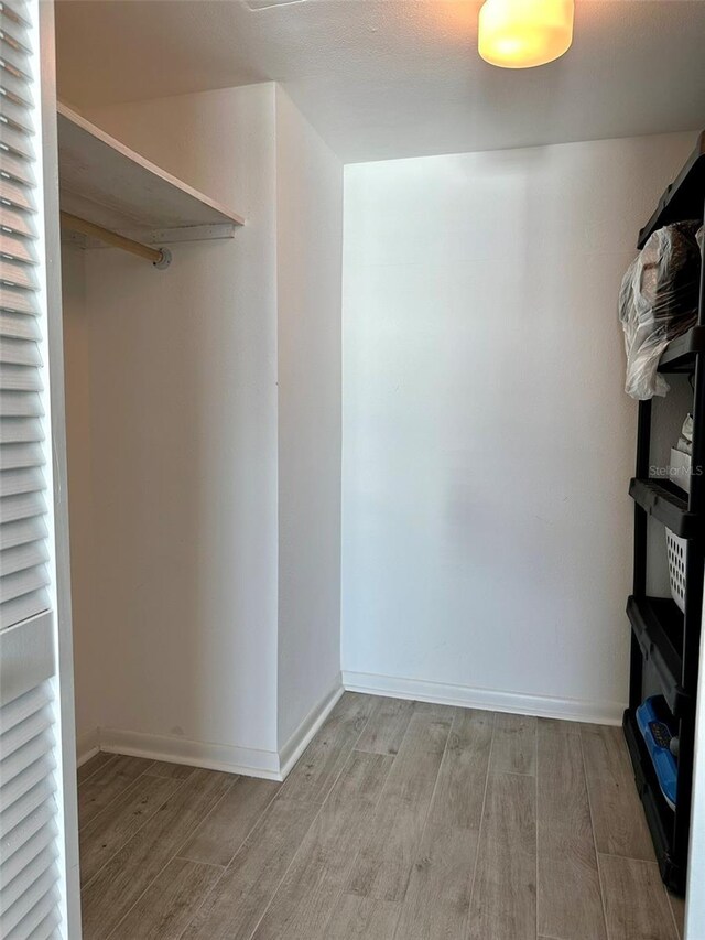 spacious closet featuring light wood-type flooring