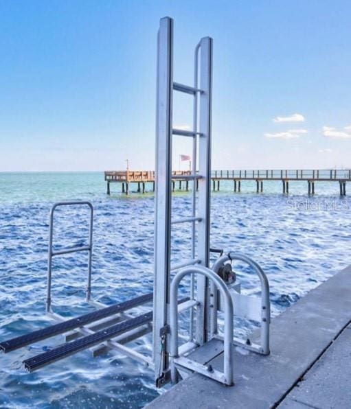 dock area with a water view