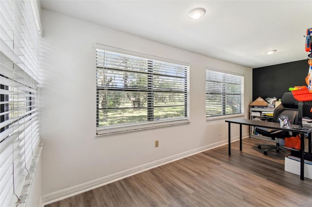 office area featuring wood-type flooring