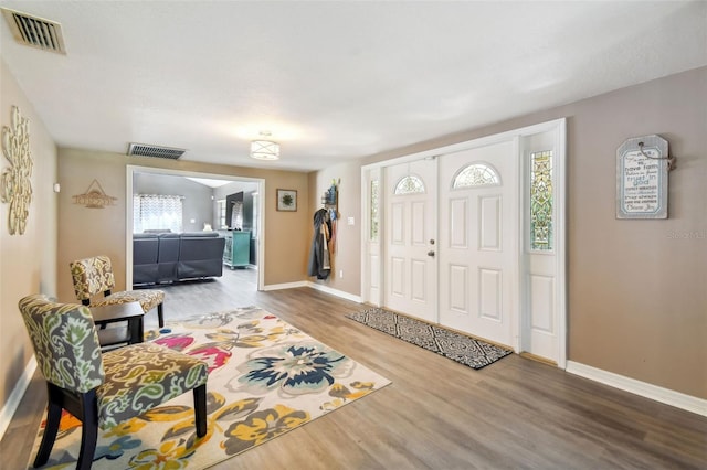 entryway featuring plenty of natural light and wood-type flooring