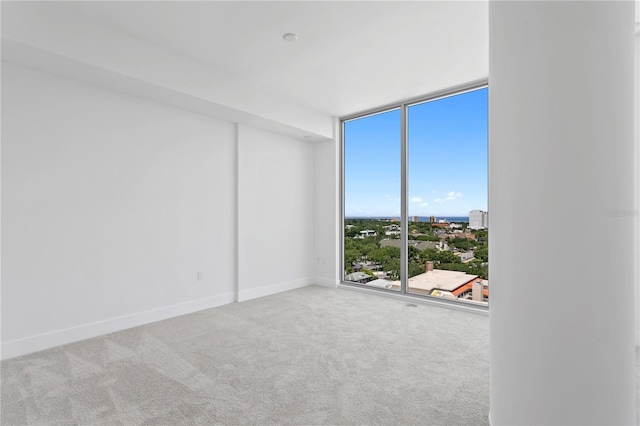 spare room with floor to ceiling windows, baseboards, and carpet floors