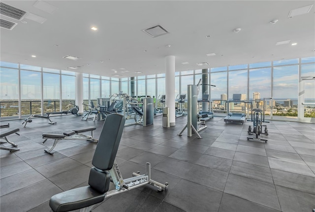 exercise room featuring expansive windows and a healthy amount of sunlight