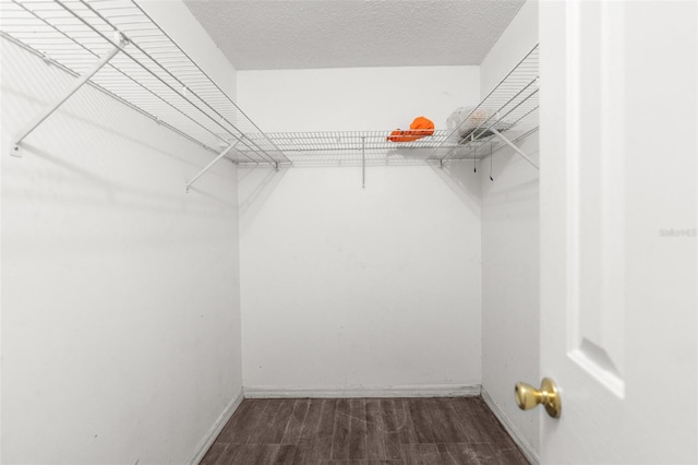 spacious closet with hardwood / wood-style floors