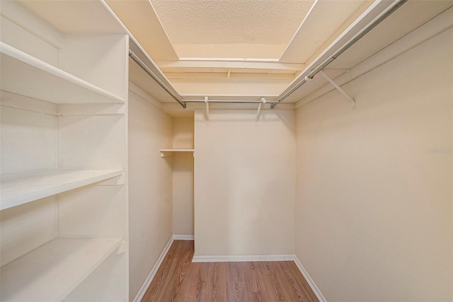 walk in closet with wood-type flooring