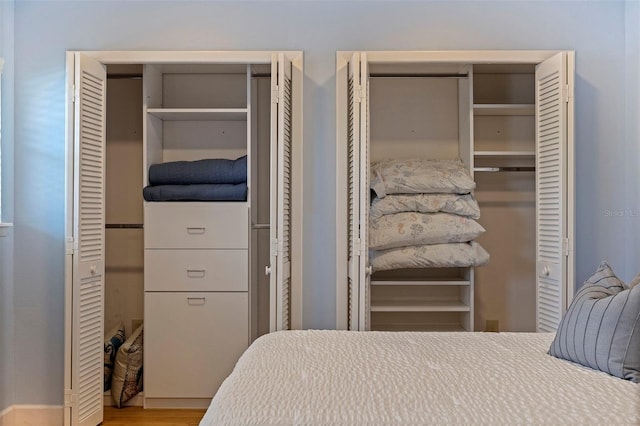 bedroom featuring wood-type flooring and two closets